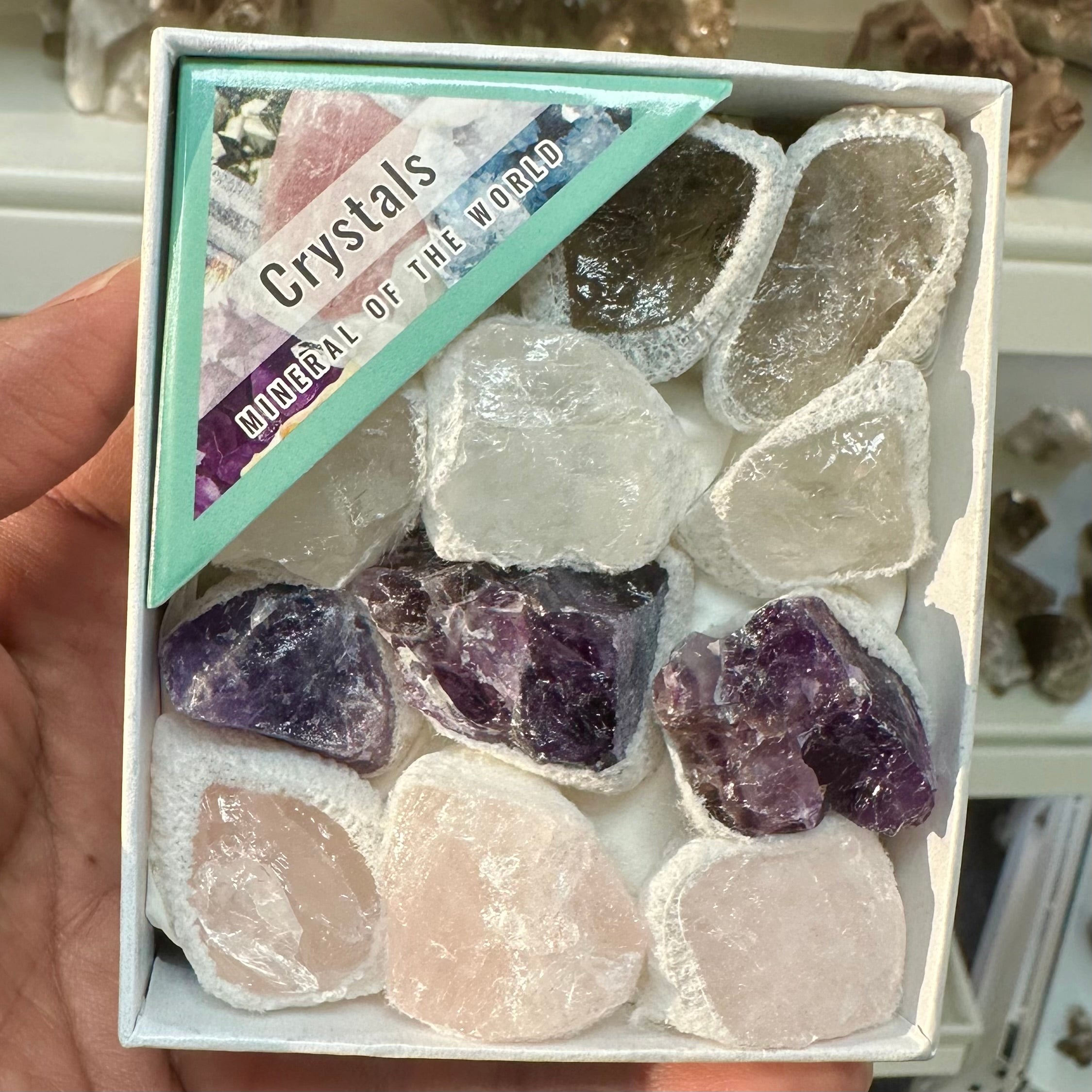 Mix-Crystal Rough Box-MINI - AM/Qtz Mix-Crystal Rough Box-MINI - AM/Qtz